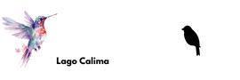 Fincas Valle del Cauca - logo